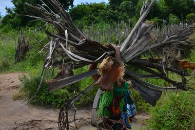 DSC_4789 (Large).JPG